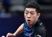 开云平台-德国乒乓球队血洗中国乒乓球队，许昕关键制胜的简单介绍