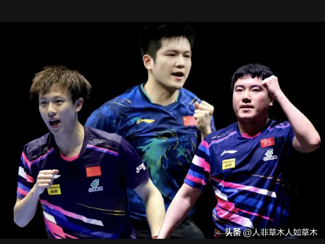 德国乒乓球队轻取法国乒乓球队，水谷隼制霸全场的简单介绍