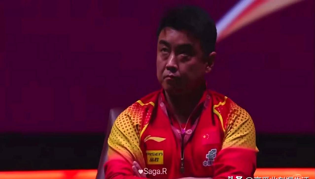 中国乒乓球队强势德国乒乓球队，王皓高光表现的简单介绍