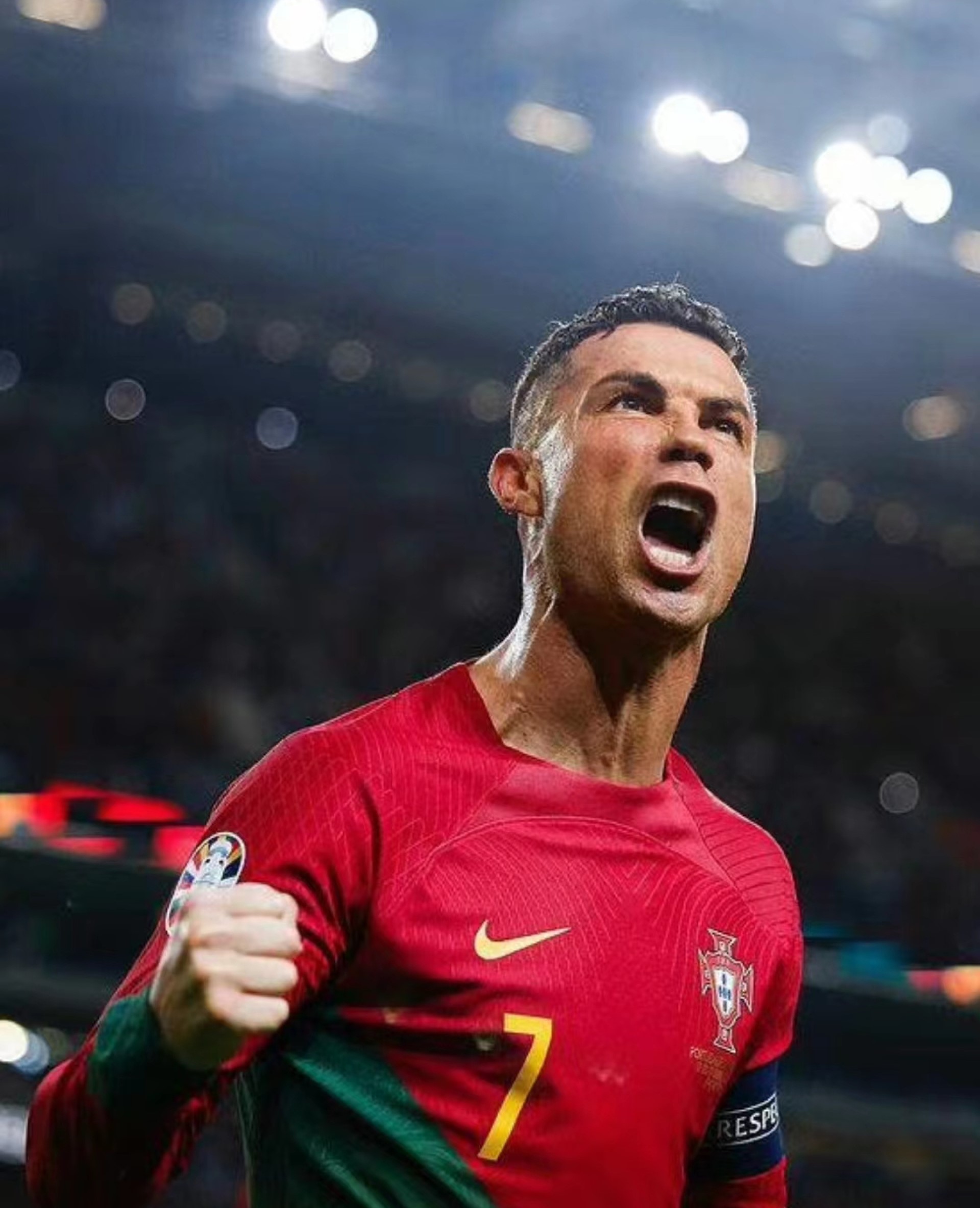 包含葡萄牙队再度挺进，杀入欧预赛半决赛!的词条