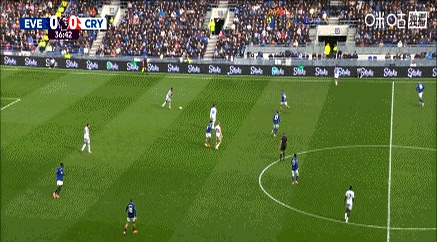 关于水晶宫击败埃弗顿，英超保级前景一片大好的信息