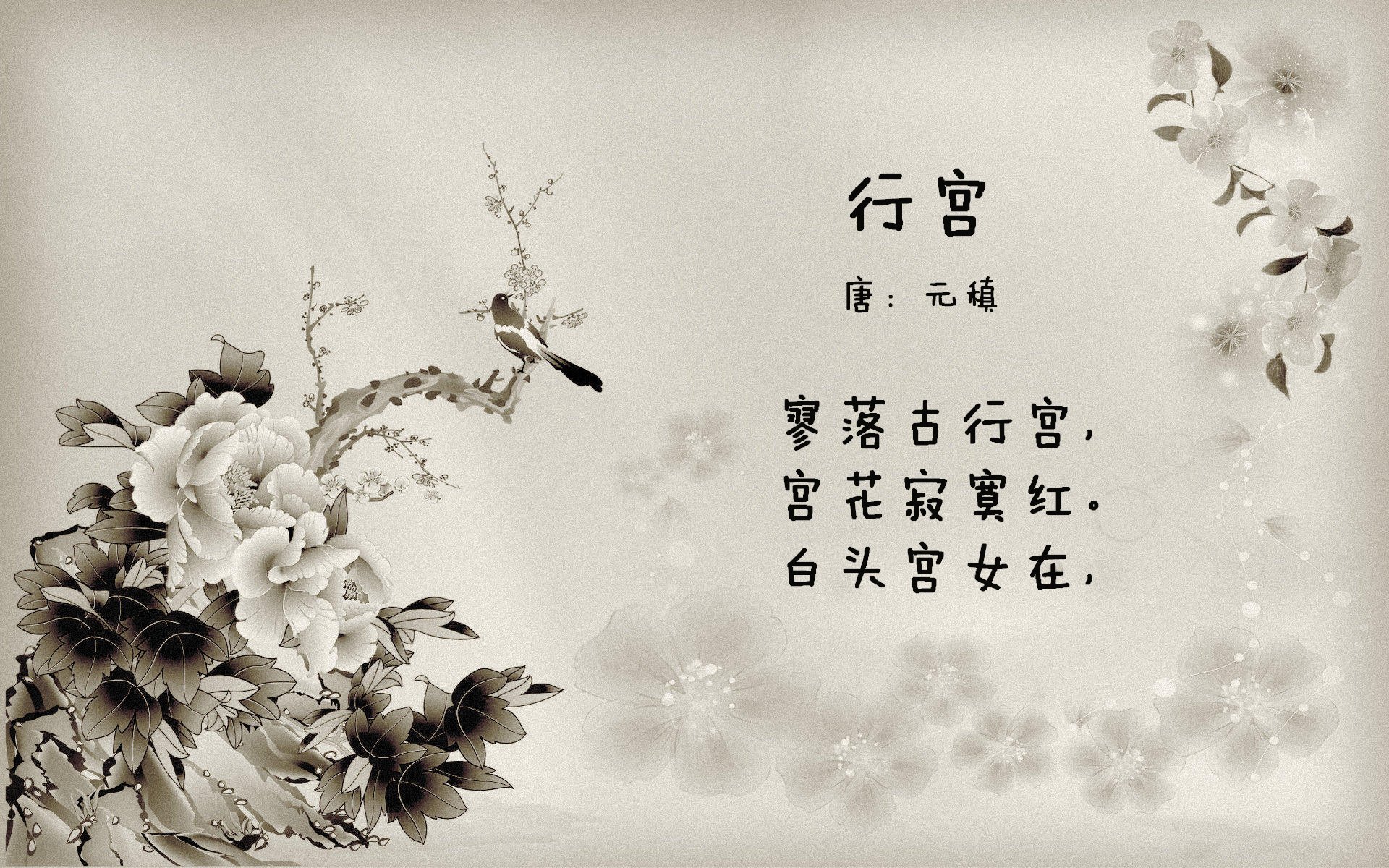 基耶萨的生涯之夜与伊朗足球的尼斯启示，当个体光芒照亮集体道路