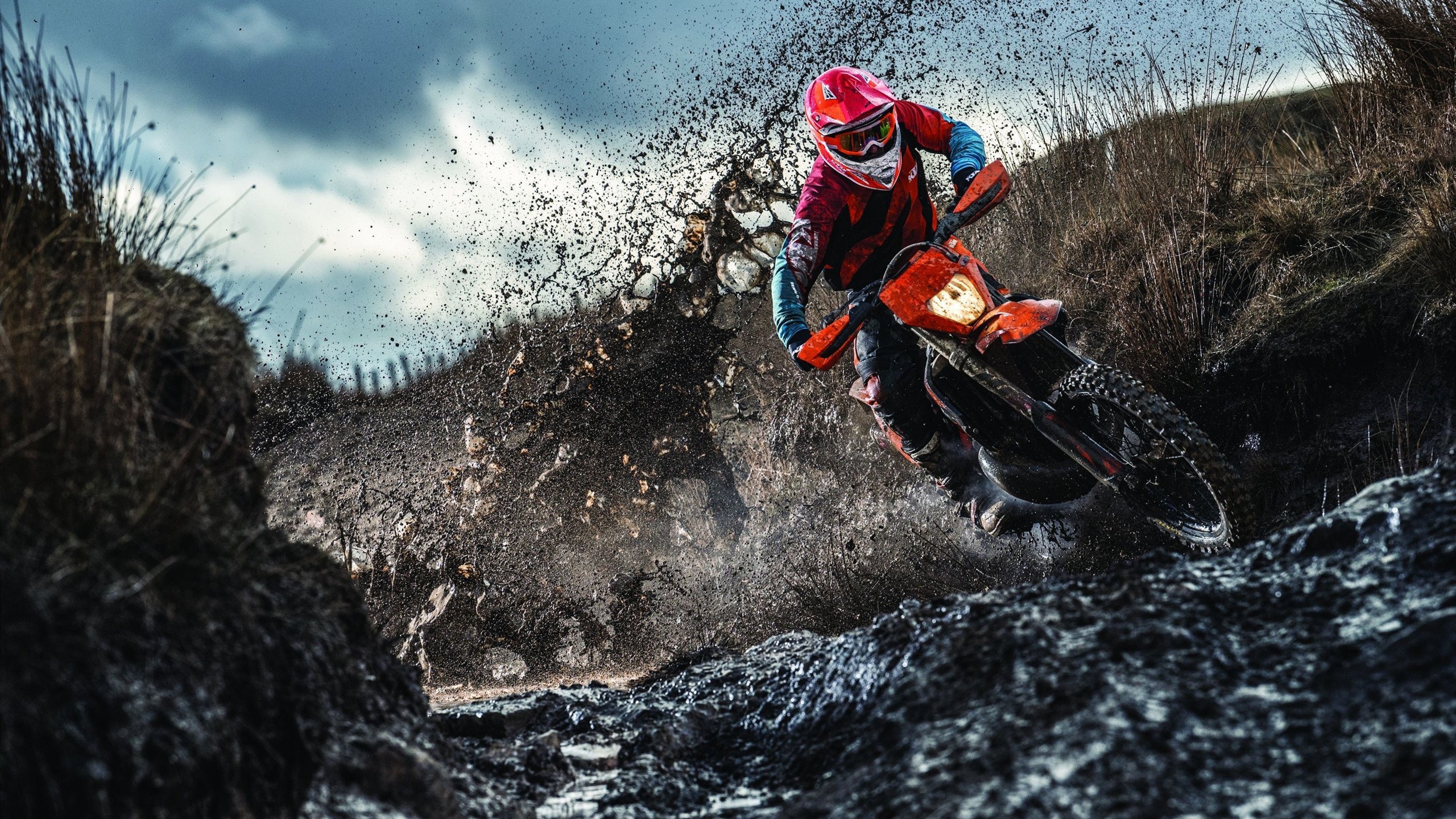 当铁血马竞遇见童话王国,伊布的舞台定律与足球的永恒辩证法