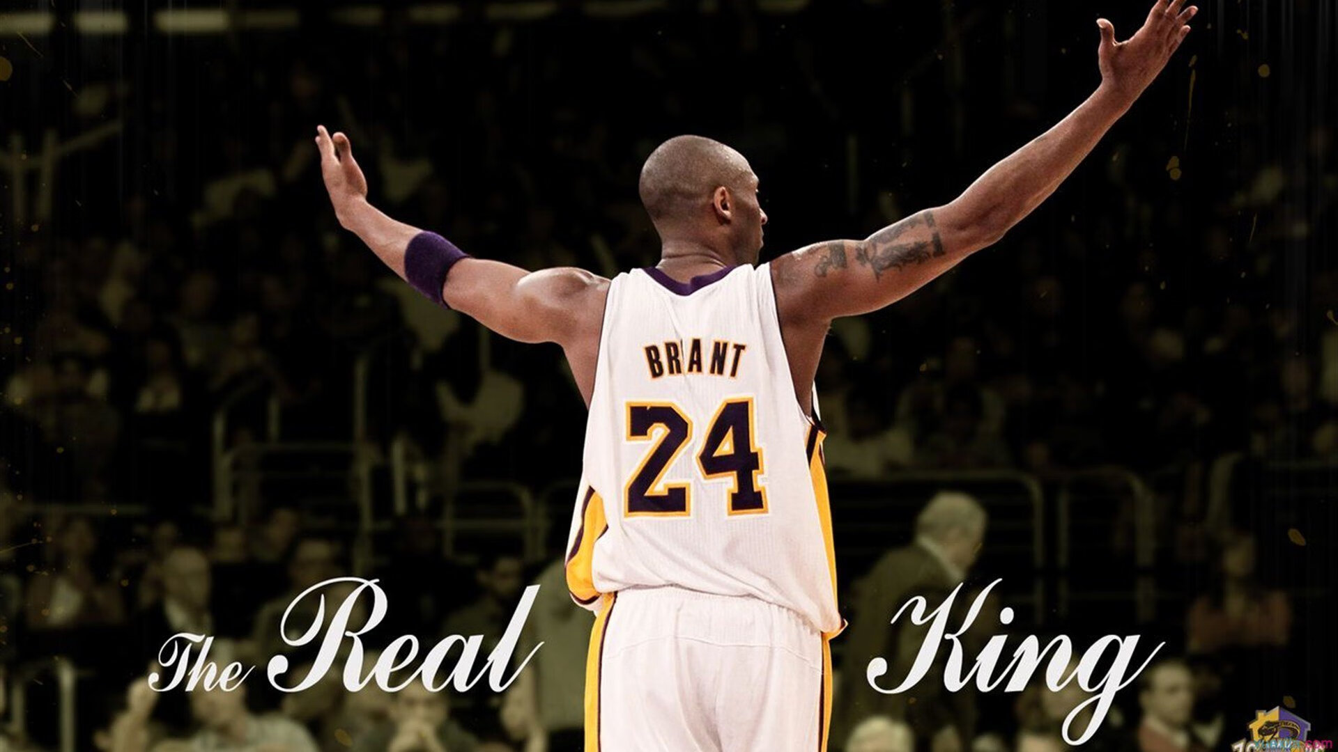 索伯引擎轰鸣碾压迈凯伦，塞恩斯状态火热诠释何为被低估的王者